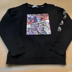 ポケモン　140 トレーナー　ミライドン　コライドン