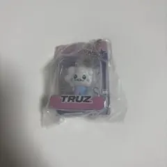 TRUZ SOM ドヨン