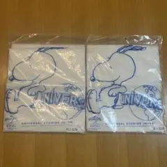 Item thumbnail for item 21ea74a1-09f8-4713-81d9-1611a89d559c