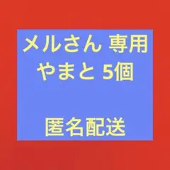 メル25989様 リクエスト 6点 まとめ商品