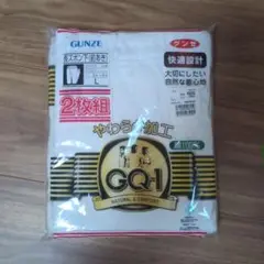 GUNZE QQ-1 Lサイズ 2枚組 下着