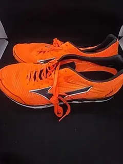 MIZUNO WAVE CRUISE JAPANランニングシューズ 24.5cm - メルカリ