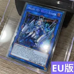 2026年最新】マリスクイーンホワイトバインダーの人気アイテム - メルカリ