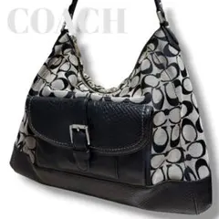 希少✨COACH コーチ ワンショルダーバッグ ソーホー SOHO ハンドバッグ