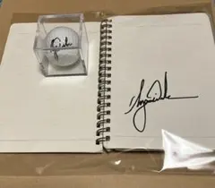 Item thumbnail for item d9fc4135-e7b7-41f5-9139-142fc6c30b45