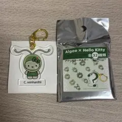 藻キティ アクリルキーホルダー コナミドリムシ
