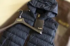 Item thumbnail for item 1386ec66-b4a0-4ea8-bfac-67fb32efce61