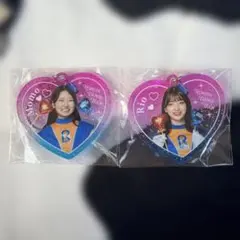 茨城ロボッツ　RDTキーホルダー　MOMO RIO