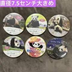 アドベンチャーワールド パンダ 缶バッジ 4個セット - メルカリ