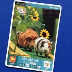 ロゲットカード 狭山市立智光山公園 こども動物園