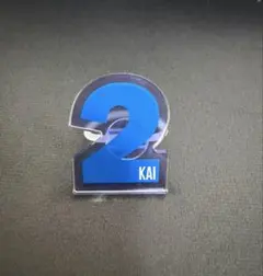超特急 カイ ペンライトアクセサリー