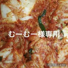 キムチ　白菜箱込み1ｋｇのサムネイル