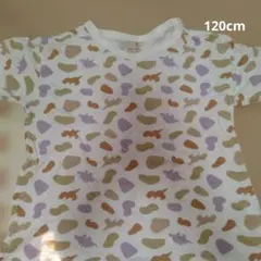 プティマイン　恐竜柄Tシャツ 120cm