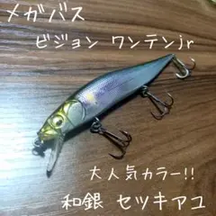 2026年最新】メガバス ビジョン ワンテンの人気アイテム - メルカリ