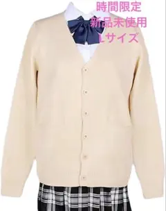 スクールカーディガン女子 制服 高校生 スクールセーター Vネック 学生 通学L