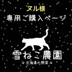 ヌル様リクエスト 4点やわらかピーマン、四大病きゅうり、ペパーミント、サトウくん