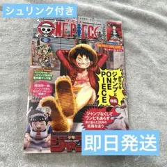 【新品未開封】ONE PIECE ワンピースマガジン20号プロモ シュリンク付き