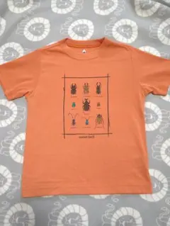 mont-bell 昆虫デザイン Tシャツ 120cm