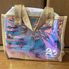 ディズニーシー20周年 タイムトゥシャインスーベニア ランチケース