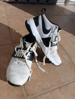 バッシュ　Team Hustle D8 Nike