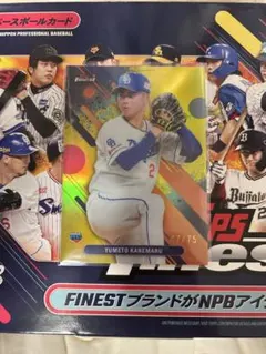 Item thumbnail for item 26874e44-3d5b-477a-8f25-760efa13cf56