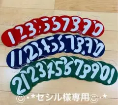 セシル様専用☆フェルトカレンダー
