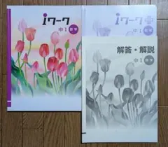 【超美品】iワーク 中1 数学