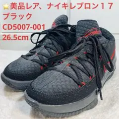 ⭐️美品レア、ナイキレブロン１７　ブラック　CD5007-001、26.5cm