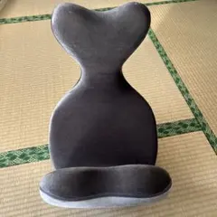 【美品】骨盤・姿勢矯正クッション 柔ら美人 開脚ベターイージースリム