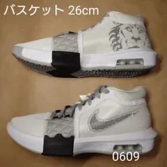 バスケット 26cm ナイキ レブロン ウィットネス VIII EPのサムネイル