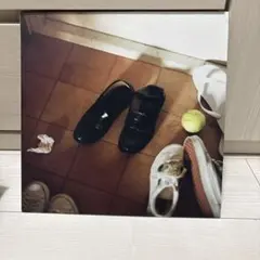 PEDRO アナログレコード LP盤 3枚組 - メルカリ