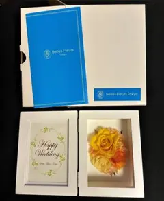 Item thumbnail for item 45b87ee8-3550-49b1-9074-06bc6a16c1c8