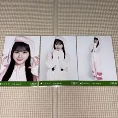 乃木坂46 一ノ瀬美空 生写真 コンプ 福井 恐竜 真夏の全国ツアー2026