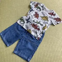 半袖Tシャツ　ハーフパンツ　セット　110サイズ　男の子　恐竜