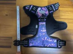 Item thumbnail for item f45a5c49-81eb-426e-b663-0dec1313cc68