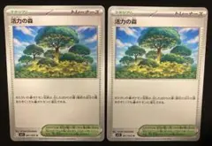 活力の森　2枚　まとめ売り