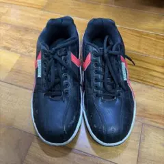 Item thumbnail for item 65f925b0-0934-451e-a366-be65f58baf10