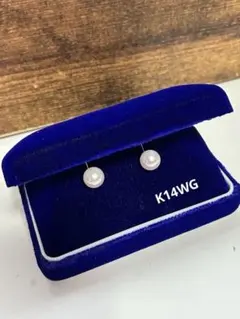 Item thumbnail for item d66a2e18-71c1-4df6-a290-53315369248d