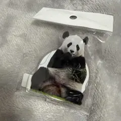 Item thumbnail for item d0847407-d1df-445a-b077-a931bcade033