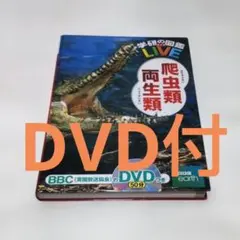 Item thumbnail for item 8f0f3c30-4318-4b58-aca1-747d56fe1010