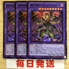 捕食植物トリフィオヴェルトゥム スーパー 3枚 ピヴォ