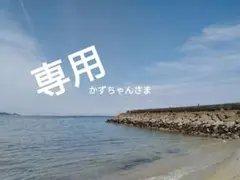 専用…かずちゃんさま