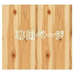 JVH様 リクエスト 2点 まとめ商品