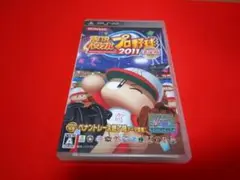 実況パワフルプロ野球2011決定版