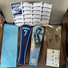ヤクルトスワローズ　配布物一式　20250518