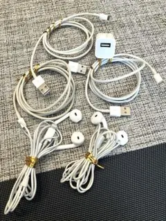 充電ケーブル、イヤフォン、USB充電器
