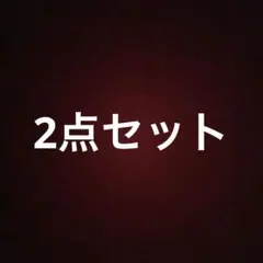 2点セット プーマトラックジャケット Rusty水着下