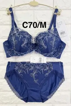 トリンプ　天使のブラ　スリムライン　極上ライト624 上下セット　C70/M