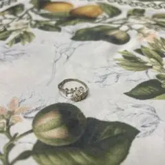 Item thumbnail for item ef85c257-c996-4cf5-a53b-cfd199ebe793