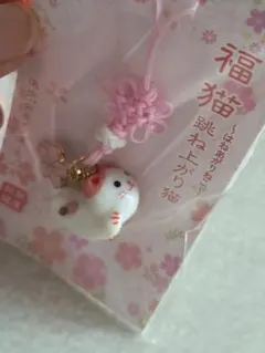 Item thumbnail for item 779ccbfc-9cd8-47e4-a83d-d6baaa7469ad